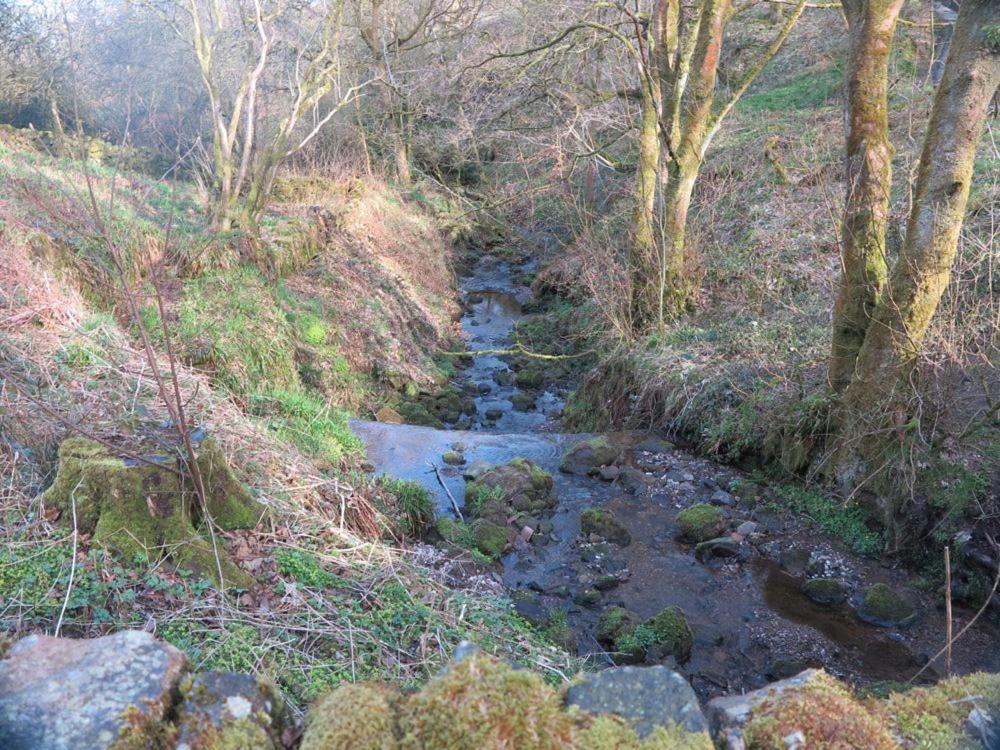 Slaithwaite Tyas Cottage מראה חיצוני תמונה