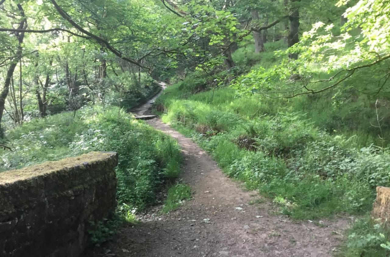 Slaithwaite Tyas Cottage מראה חיצוני תמונה